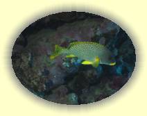 IMG_2007_05_27 14_54_17 * 2272 x 1704 * (447KB)